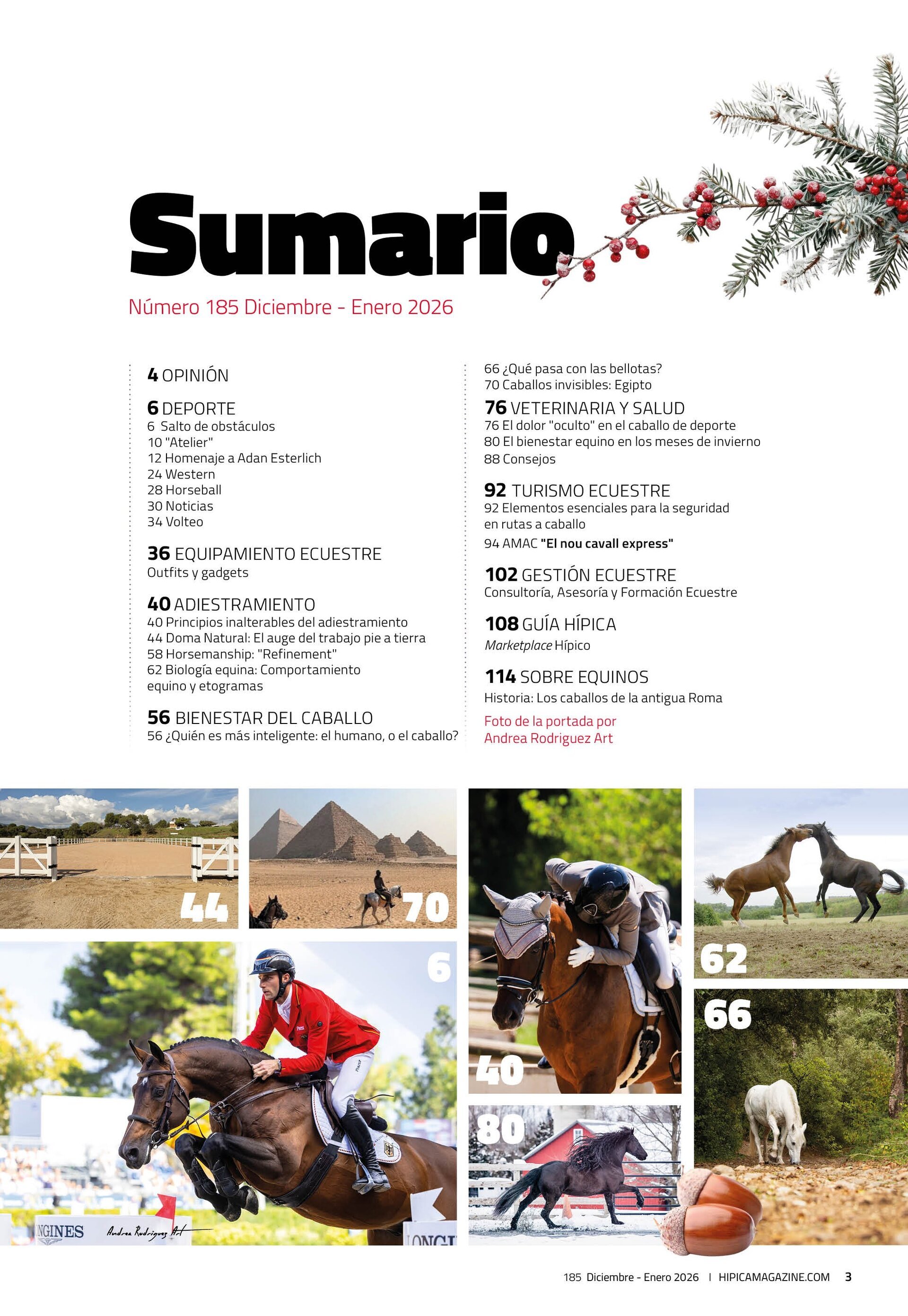 Revista Hípica Magazine 185 - 2