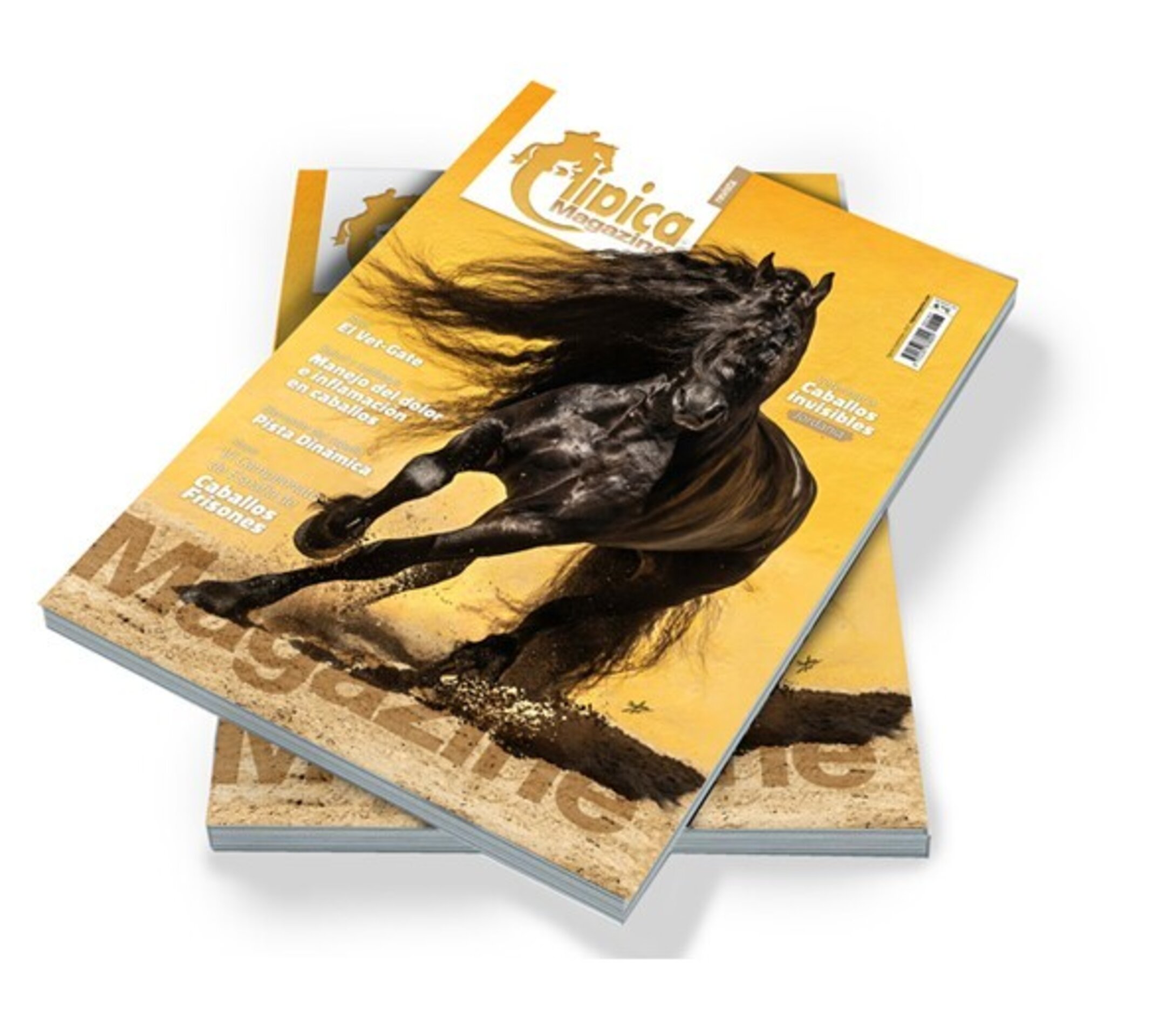 Revista Hípica Magazine 183 - 2