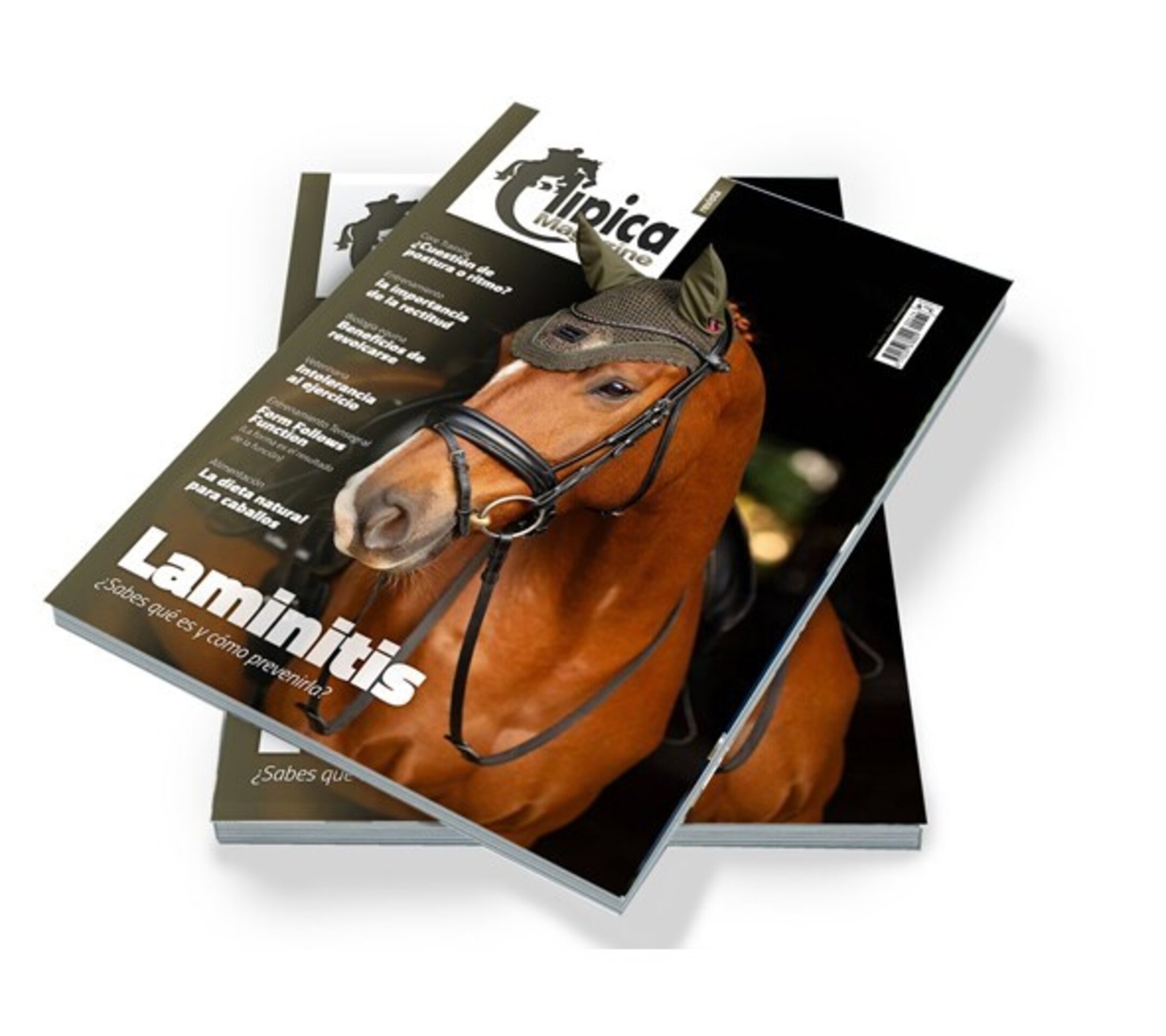 Revista Hípica Magazine 174 - 1