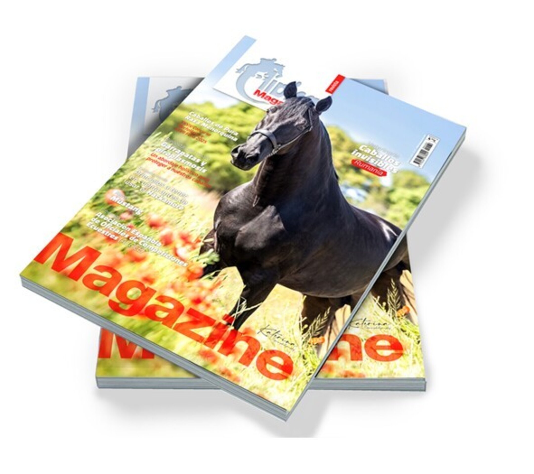 Revista Hípica Magazine 182 - 1